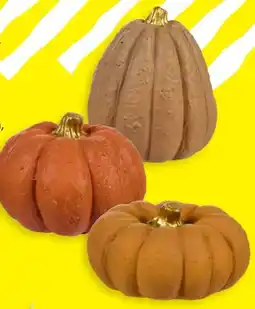 TEDi Deko-Kürbis Angebot