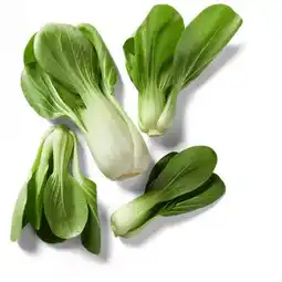 Kaufland Mini Pak-Choi Angebot