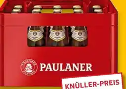 Kaufland Paulaner Münchner Hell Angebot