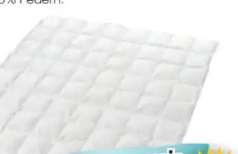 Möbel Inhofer Sanders Sommerdaunendecke Angebot