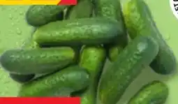 Kaufland Einlegegurke XXL Angebot