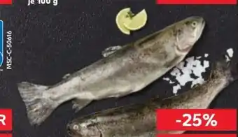 Kaufland Regenbogenforellen Angebot