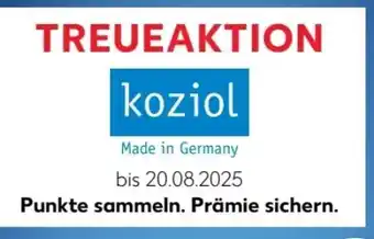 Kaufland Action 20 Angebot
