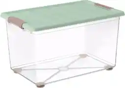 Kaufland Domopak Living Boxen Summer Nature Angebot