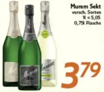 inkoop Mumm Sekt Angebot