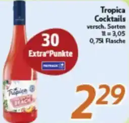 inkoop Tropica Cocktails Angebot