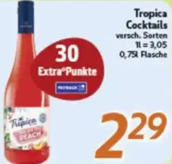 inkoop Tropica Cocktails Angebot