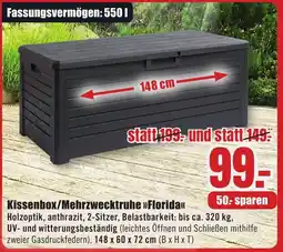 B1 Discount Baumarkt Kissenbox/Mehrzwecktruhe Florida Angebot