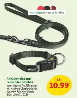 Fressnapf Anione halsband leine oder geschirr Angebot
