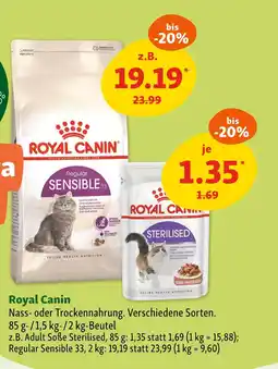 Fressnapf Royal canin nass- oder trockennahrung Angebot