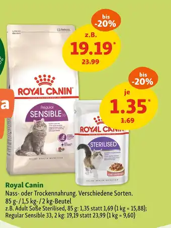 Fressnapf Royal canin nass- oder trockennahrung Angebot