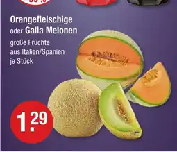V Markt Orangefleischige melonen Angebot