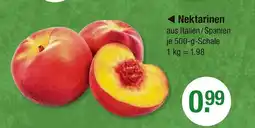 V Markt Nektarinen Angebot