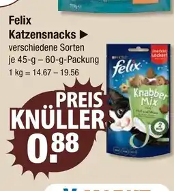 V Markt Felix katzensnacks Angebot