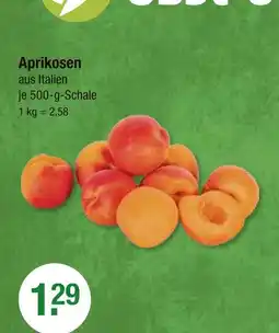 V Markt Aprikosen Angebot