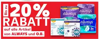 Kaufland Always always daily fresh Angebot