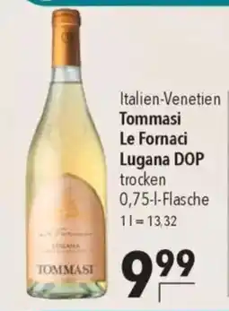 CITTI Markt Tommasi Le Fornaci Lugana DOP trocken Angebot
