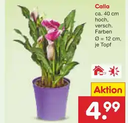 Netto Marken-Discount Calla Angebot