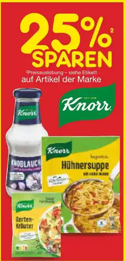 Netto Marken-Discount Knorr 25% sparen Angebot