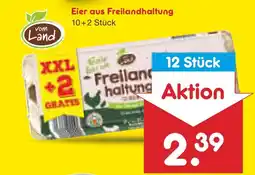 Netto Marken-Discount Vom land eier aus freilandhaltung Angebot