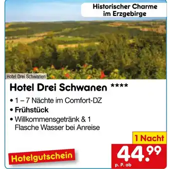 Netto Marken-Discount Hotel drei schwanen Angebot