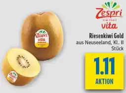 diska Zespri Riesenkiwi Gold Angebot