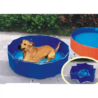 Netto Marken-Discount Heim Hunde Swimmingpool Outdoor-Dog Ø 80 x 20 cm Angebot