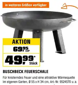 OBI BUSCHBECK FEUERSCHALE Angebot