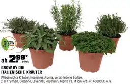 OBI GROW BY OBI ITALIENISCHE KRÄUTER Angebot