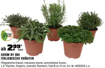OBI GROW BY OBI ITALIENISCHE KRÄUTER Angebot