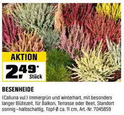 OBI BESENHEIDE Angebot