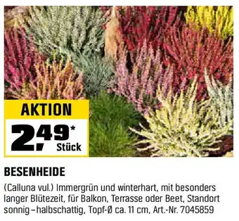 OBI BESENHEIDE Angebot
