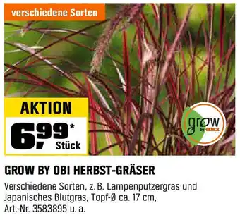 OBI GROW BY OBI HERBST-GRÄSER Angebot
