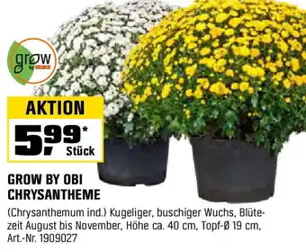 OBI GROW BY OBI CHRYSANTHEME Angebot