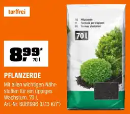 OBI PFLANZERDE Angebot