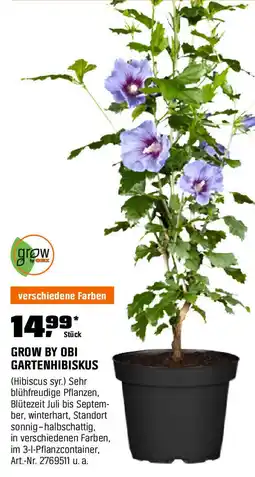 OBI GROW BY OBI GARTENHIBISKUS Angebot