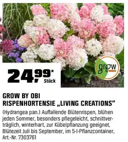 OBI GROW BY OBI RISPENHORTENSIE ,,LIVING CREATIONS" Angebot