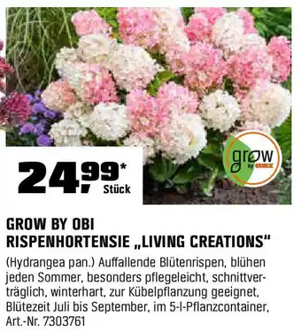 OBI GROW BY OBI RISPENHORTENSIE ,,LIVING CREATIONS" Angebot