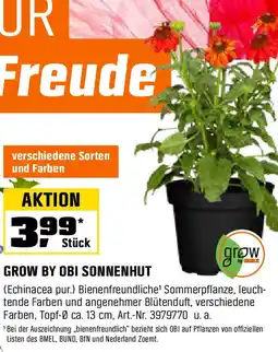 OBI GROW BY OBI SONNENHUT Angebot