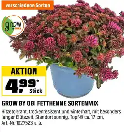 OBI GROW BY OBI FETTHENNE SORTENMIX Angebot