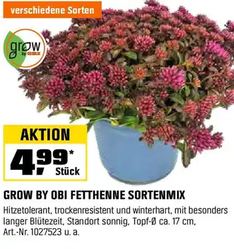 OBI GROW BY OBI FETTHENNE SORTENMIX Angebot