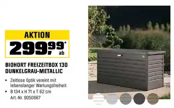 OBI BIOHORT FREIZEITBOX 130 DUNKELGRAU-METALLIC Angebot