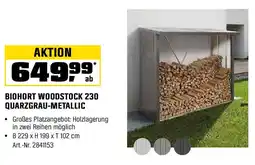 OBI BIOHORT WOODSTOCK 230 QUARZGRAU-METALLIC Angebot