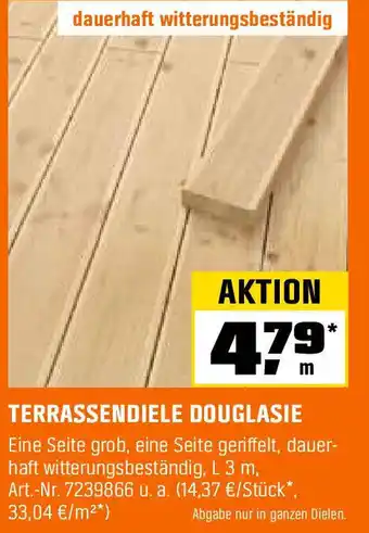 OBI TERRASSENDIELE DOUGLASIE Angebot