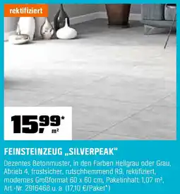 OBI FEINSTEINZEUG „SILVERPEAK" Angebot