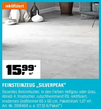 OBI FEINSTEINZEUG „SILVERPEAK" Angebot