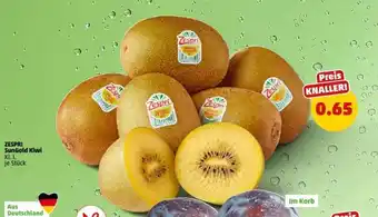PENNY ZESPRI SunGold Kiwi Angebot