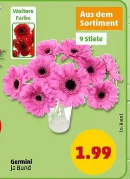 PENNY Germini Angebot