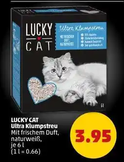 PENNY LUCKY CAT Ultra Klumpstreu Angebot