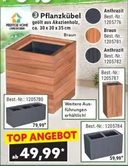 Norma Pflanzkübel Angebot